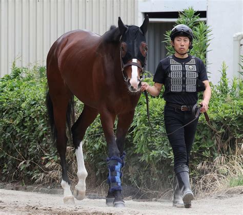 【宝塚記念】ローシャムパークは道悪克服が鍵に、大口助手「良馬場にこしたことはないが」 競馬写真ニュース 日刊スポーツ