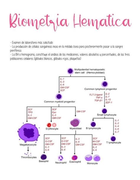 Biometría Hemática Emilia García Rivera uDocz