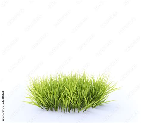 Patch of grass Stock Illustration | Adobe Stock