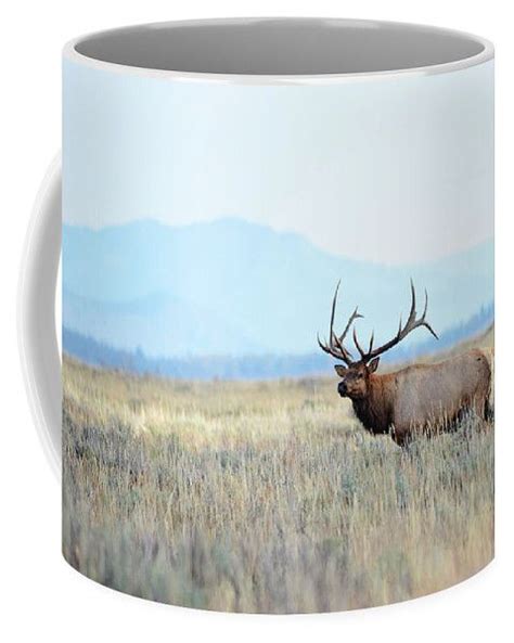 Majestic Bull Elk Coffee Mug By Whispering Peaks Photography Coffee