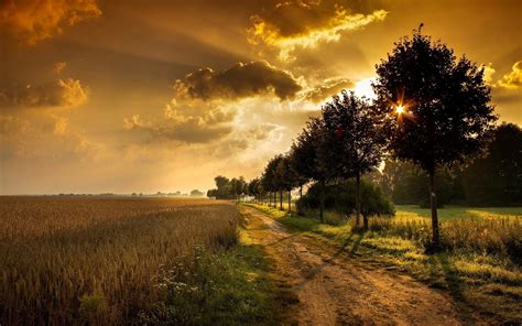 Sunset Over Field Wallpapers - Wallpaper Cave