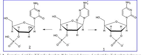 Figure 2 From Evaluating The Plausibility Of Prebiotic Multistage