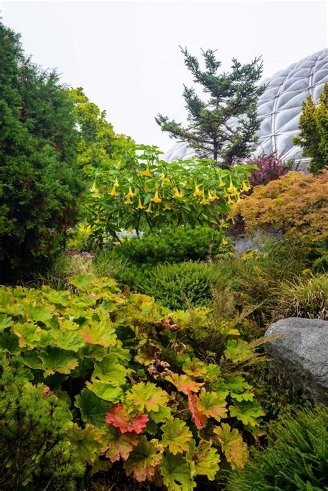 Fall Colours in Vancouver's Queen Elizabeth Park