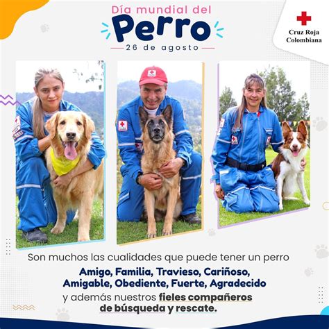 cruzrojacol on Twitter 26 de agostoDía Mundial del Perro Hoy