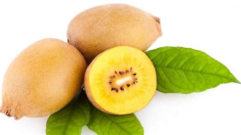 Kiwi Apel Dan Jeruk Sangat Baik Dikonsumsi Penderita Diabetes