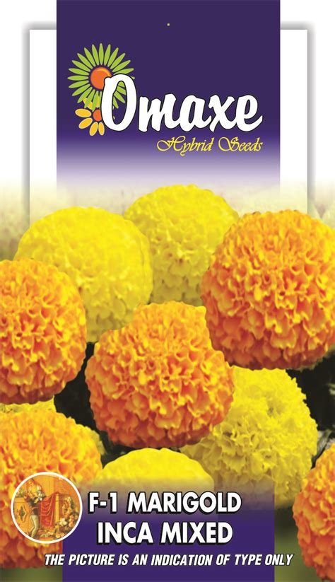 Marigold Inca Hybrid Mixed Avg 10 Seeds