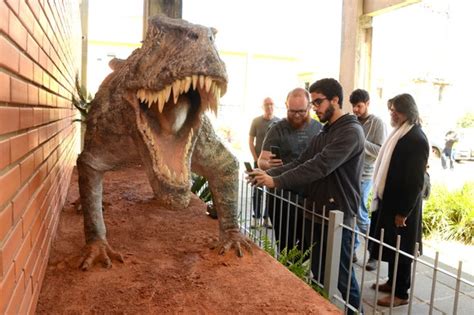 Museu de Paleontologia da UFRGS ganha nova atração UFRGS