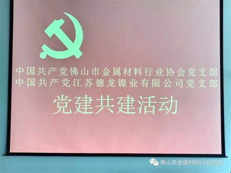 不忘初心、牢记使命！佛山金协党支部与德龙镍业党委开展党建共建活动