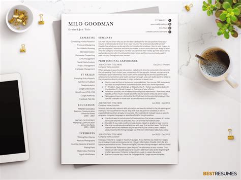 Modern Professional Resume Template For Word Bestresumes Co