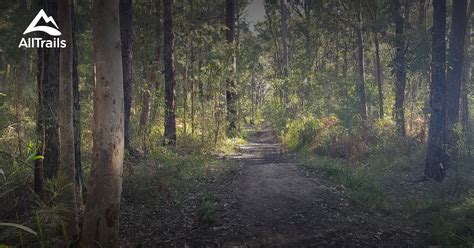 Best hikes and trails in Medowie | AllTrails