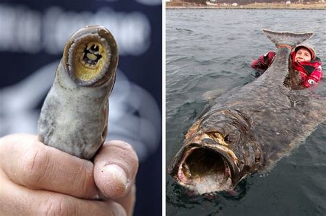 22 Pictures That Will Make You Say "Damn Nature, You Scary"