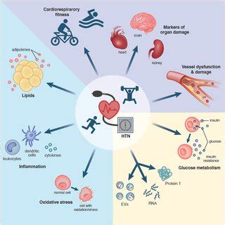 Conventional and novel biomarker categories. This figure summarizes the ...