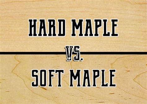 Hard Maple Vs Soft Maple: What's the Difference?
