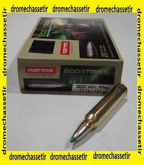 Boite 20 Cartouches Calibre 300 Winchester Magnum Norma Ecostrike 165