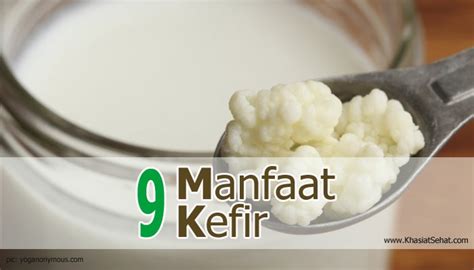 9 Manfaat Kefir Untuk Kesehatan Susu Kefir Dan Air Kefir Khasiat Sehat