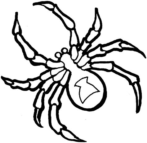 Spider Coloring Pages Printable