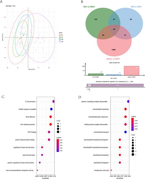 Principal Component Analysis Pca And Differentially Expressed Gene Download Scientific