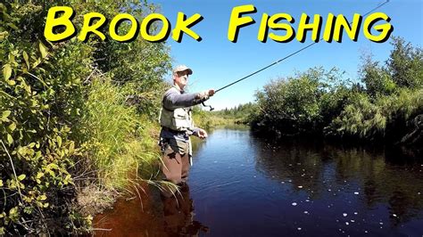 Brook Fishing New Brunswick Canada 2019 YouTube