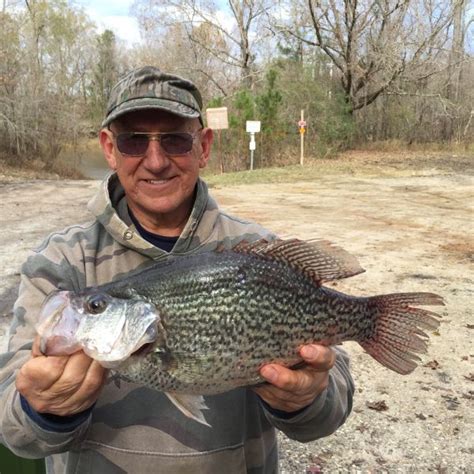 Louisiana Sportsman