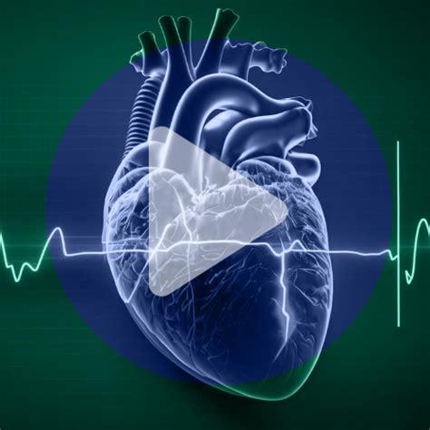 The Next Generation of Cardiovascular Drugs