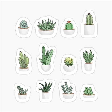 Plant Sticker Pack Sticker For Sale By Jamie Maher Coloring