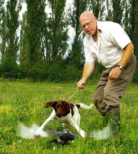 Dresseur De Chiens De Chasse Meteor