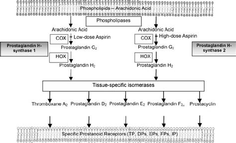 Antiplatelet Drugs American College Of Chest Physicians Evidence Based