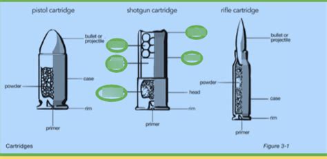 firearms Diagram | Quizlet