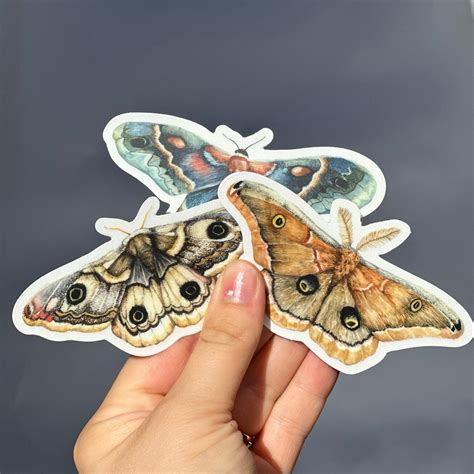 Cottagecore Moth Sticker Pack Woodland Sticker Moth Car Decal Sticker