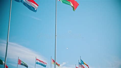 Flags of the World Countries Blowing in the Wind on the Background Clear Sky Stock Video - Video ...