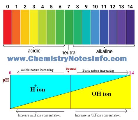 10 Class Acids Bases And Salts