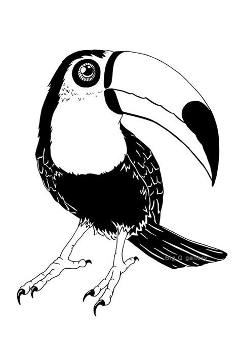 Toucan Illustration Black And White