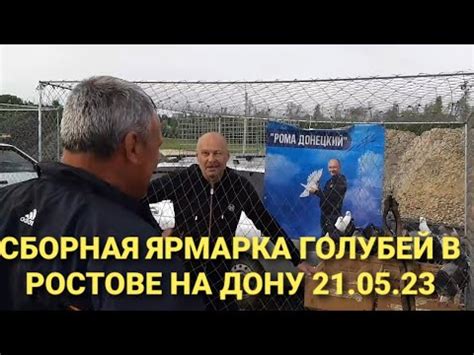 Сборная ярмарка голубей в Ростове на Дону 21.05.23. Голуби разных ...