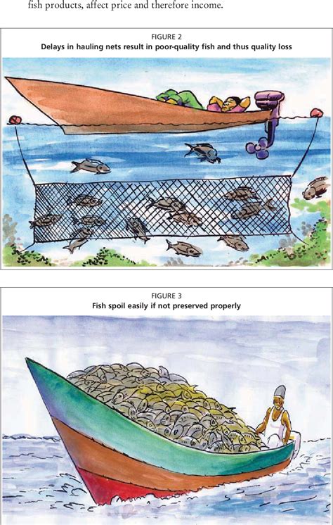 PDF Post Harvest Fish Loss Assessment In Small Scale Fisheries A