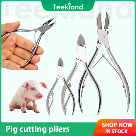 Teekland Stainless Steel Piglets Teeth Clipper Teeth Cutter Tooth