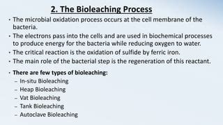 Bioleaching | PPT