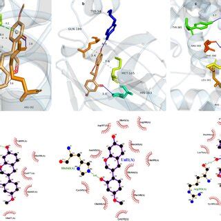 Molecular Docking Analysis Of The Selected Compounds And Targets With