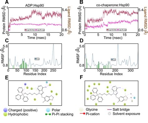 A Mitochondrial Targeted Purine Based Hsp90 Antagonist For Leukemia