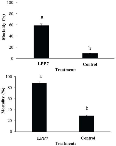 Mortality (%) of Ceratitis capitata larvae with and without... | Download Scientific Diagram