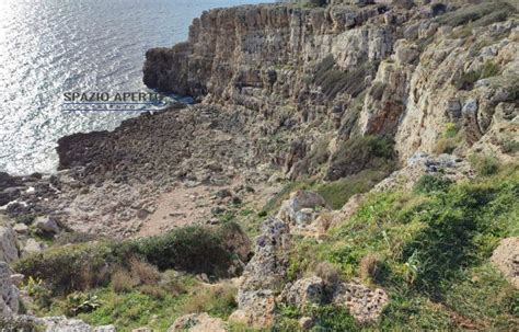 Discovery Porto Selvaggio Prorogata Scadenza Domande Spazio Aperto