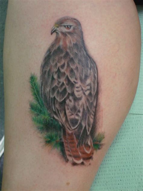 Hawk Tattoo Idea | Hawk tattoo, Picture tattoos, Tattoos