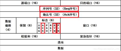 理解maxpool最大池化的作用与反向传播 忆云竹