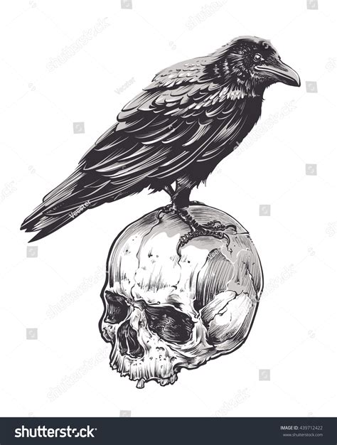 6,309 Crow Skull Royalty-Free Photos and Stock Images | Shutterstock