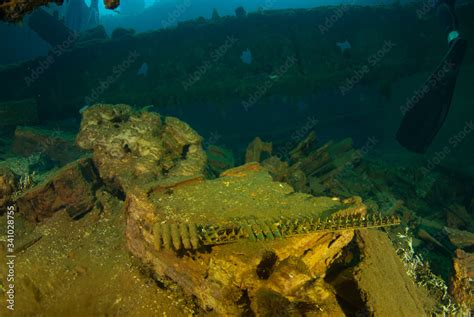 bullets lie around the floor of a sunken ship as they were once its cargo. The vessel that held ...