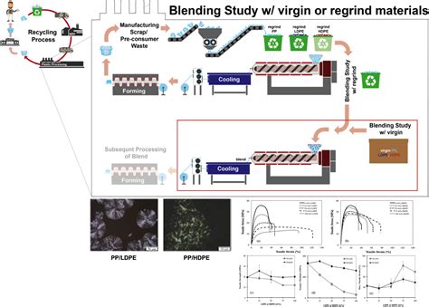 Polymers Free Full Text Recycling Of Polypropylene Polyethylene Blends Effect Of Chain