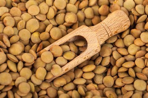 Dry Lentils On Wooden Spoon Healthy Food Stock Photo Image Of