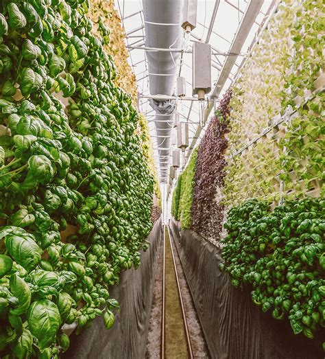 Innovative Farming | Feed the World & Save the Planet | LIVEKINDLY