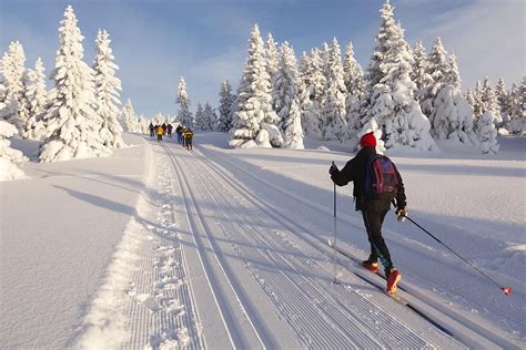 Top Skis De Fond Classiques Skating Blog Snowleader