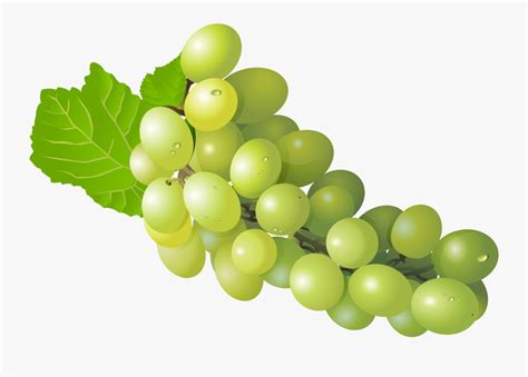 Green Grapes Hd Png Free Transparent Clipart Clipartkey