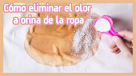 Cómo Eliminar El Olor A Orina De La Ropa Youtube